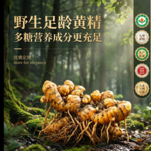 一键生PPT案例展示